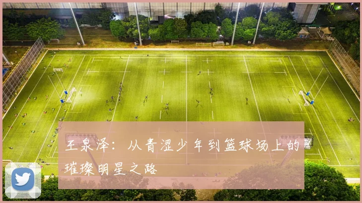 王泉泽：从青涩少年到篮球场上的璀璨明星之路